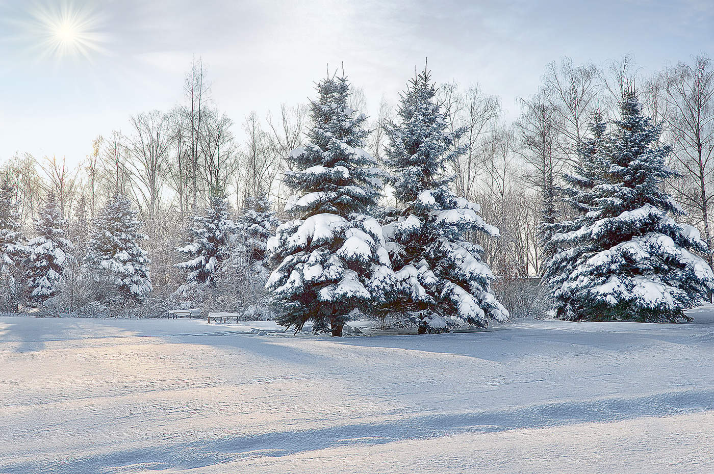 Ein schöner Tag dank Frost und Sonne