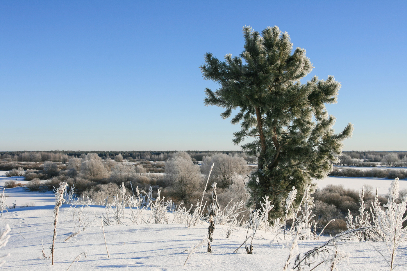 Ein schöner Tag dank Frost und Sonne