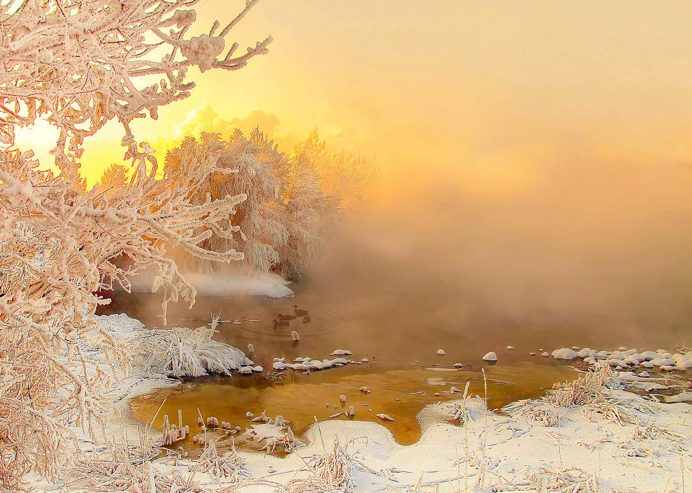 Ein schöner Tag dank Frost und Sonne