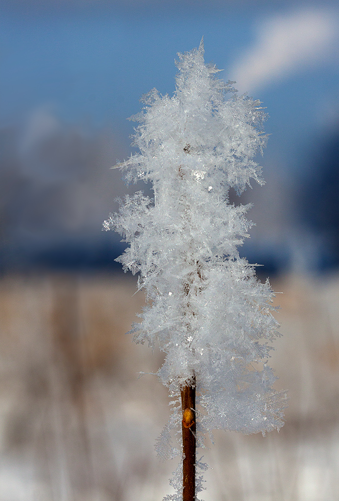 Ein schöner Tag dank Frost und Sonne