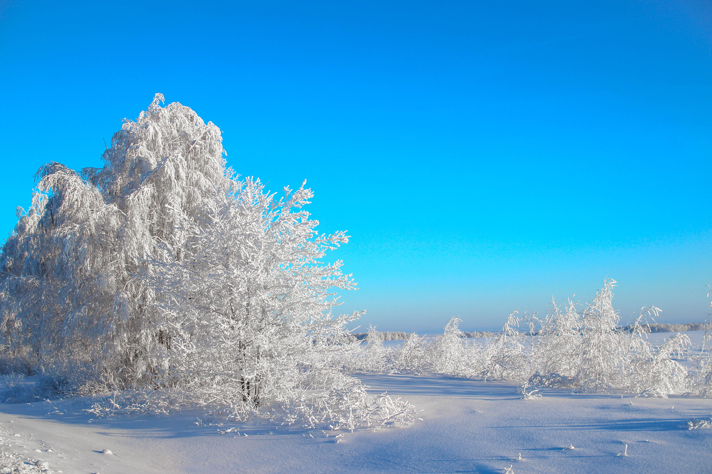 Ein schöner Tag dank Frost und Sonne