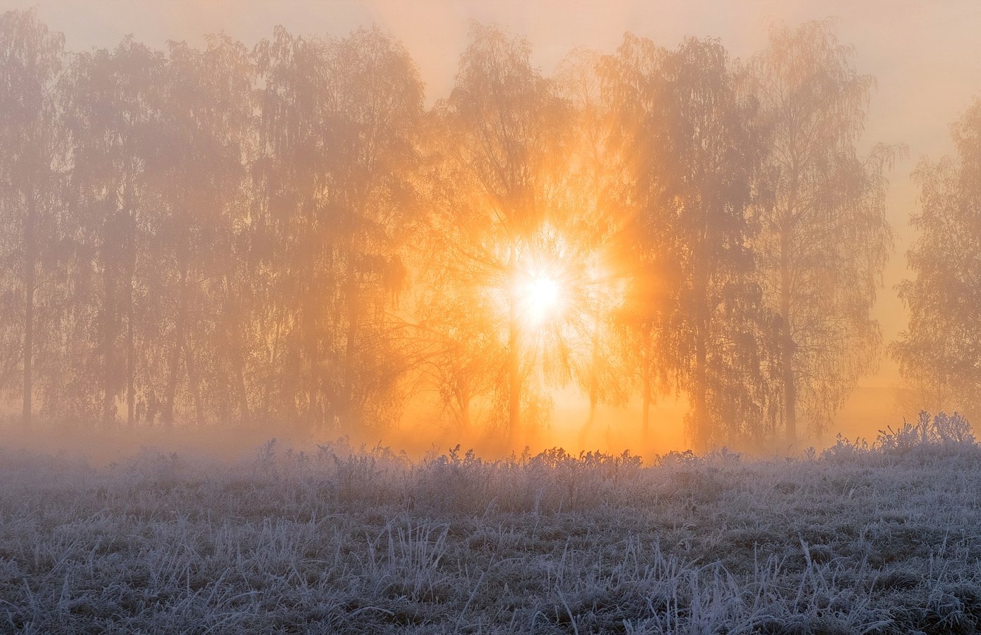 Ein schöner Tag dank Frost und Sonne