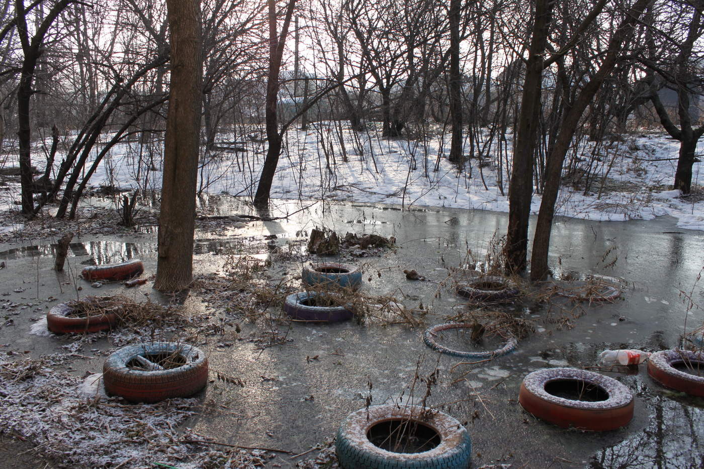 Ein schöner Tag dank Frost und Sonne