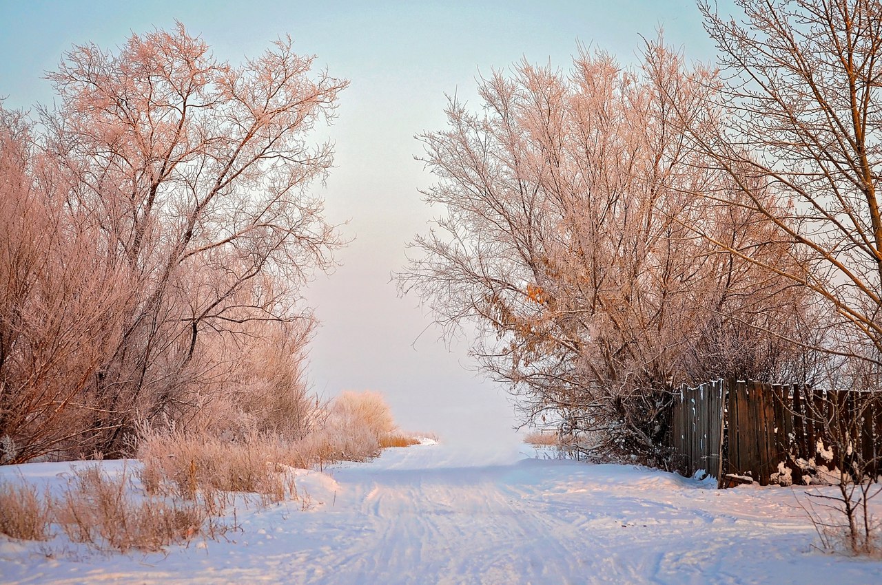 Ein schöner Tag dank Frost und Sonne