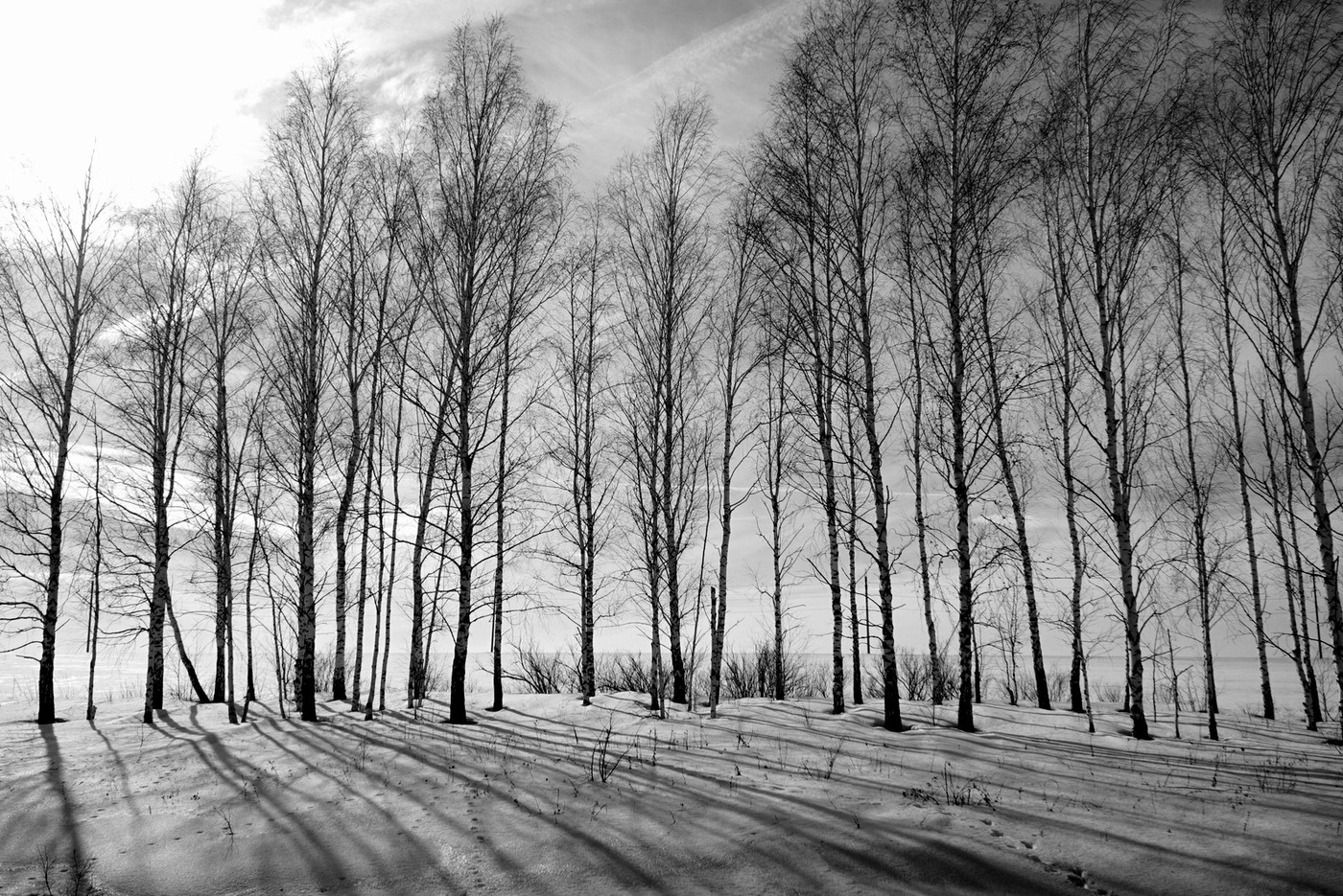Ein schöner Tag dank Frost und Sonne