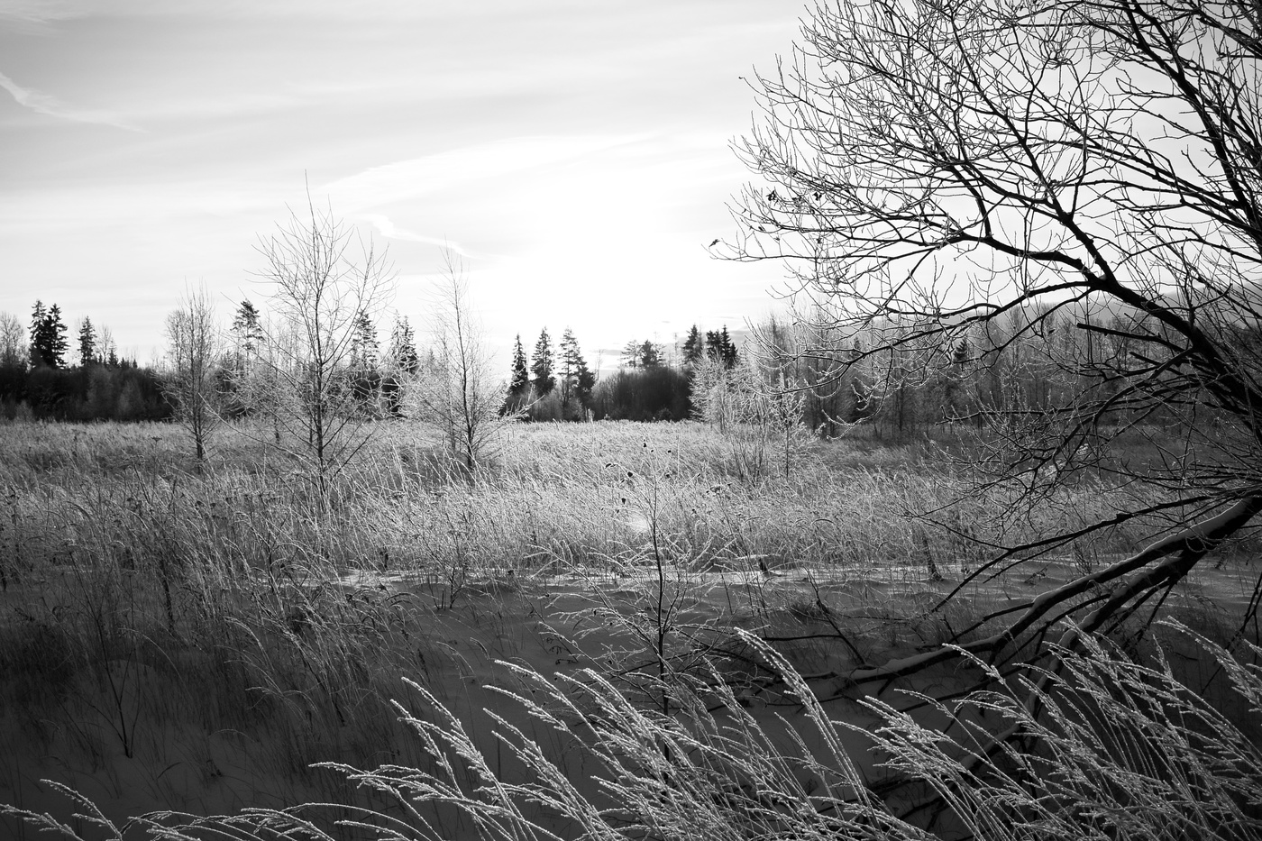 Ein schöner Tag dank Frost und Sonne