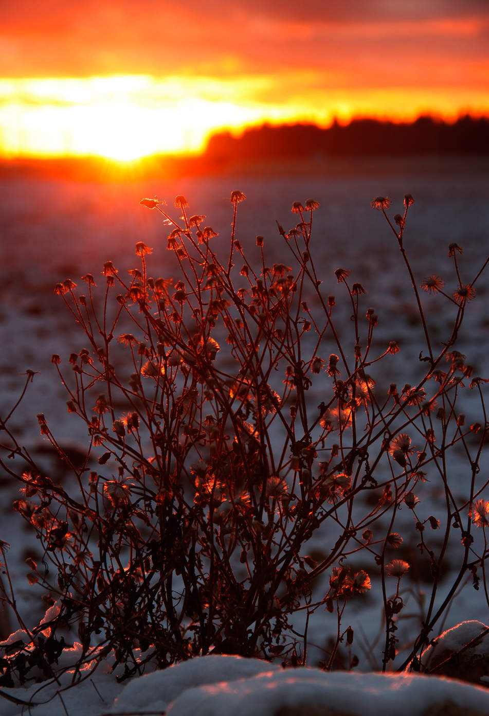 Ein schöner Tag dank Frost und Sonne