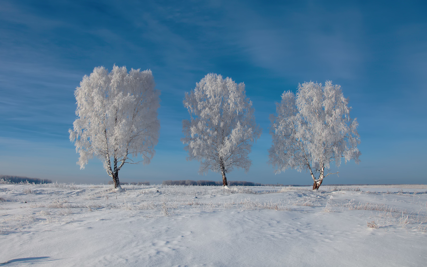 Ein schöner Tag dank Frost und Sonne