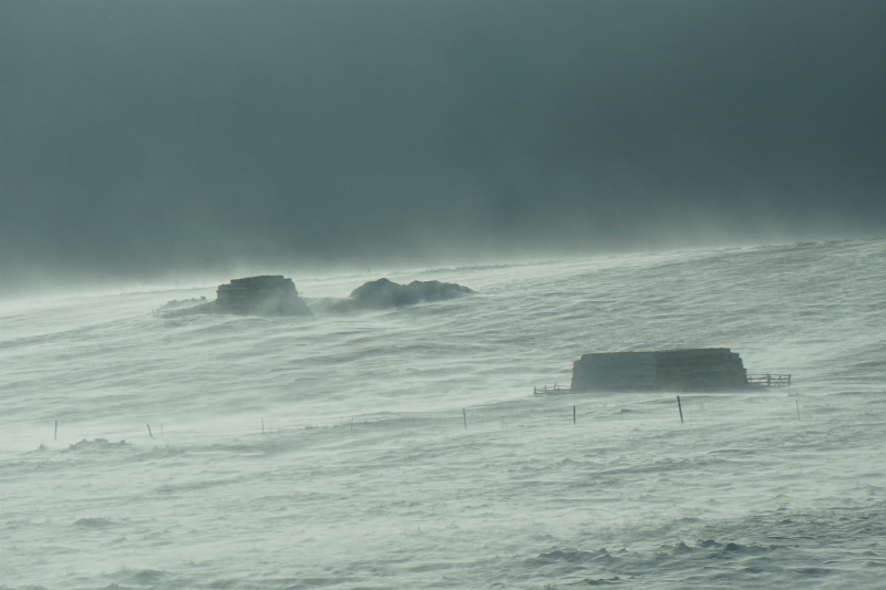 Ein schöner Tag dank Frost und Sonne