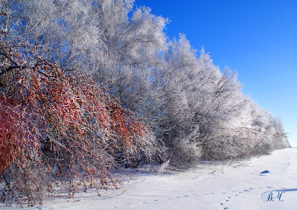 Ein schöner Tag dank Frost und Sonne