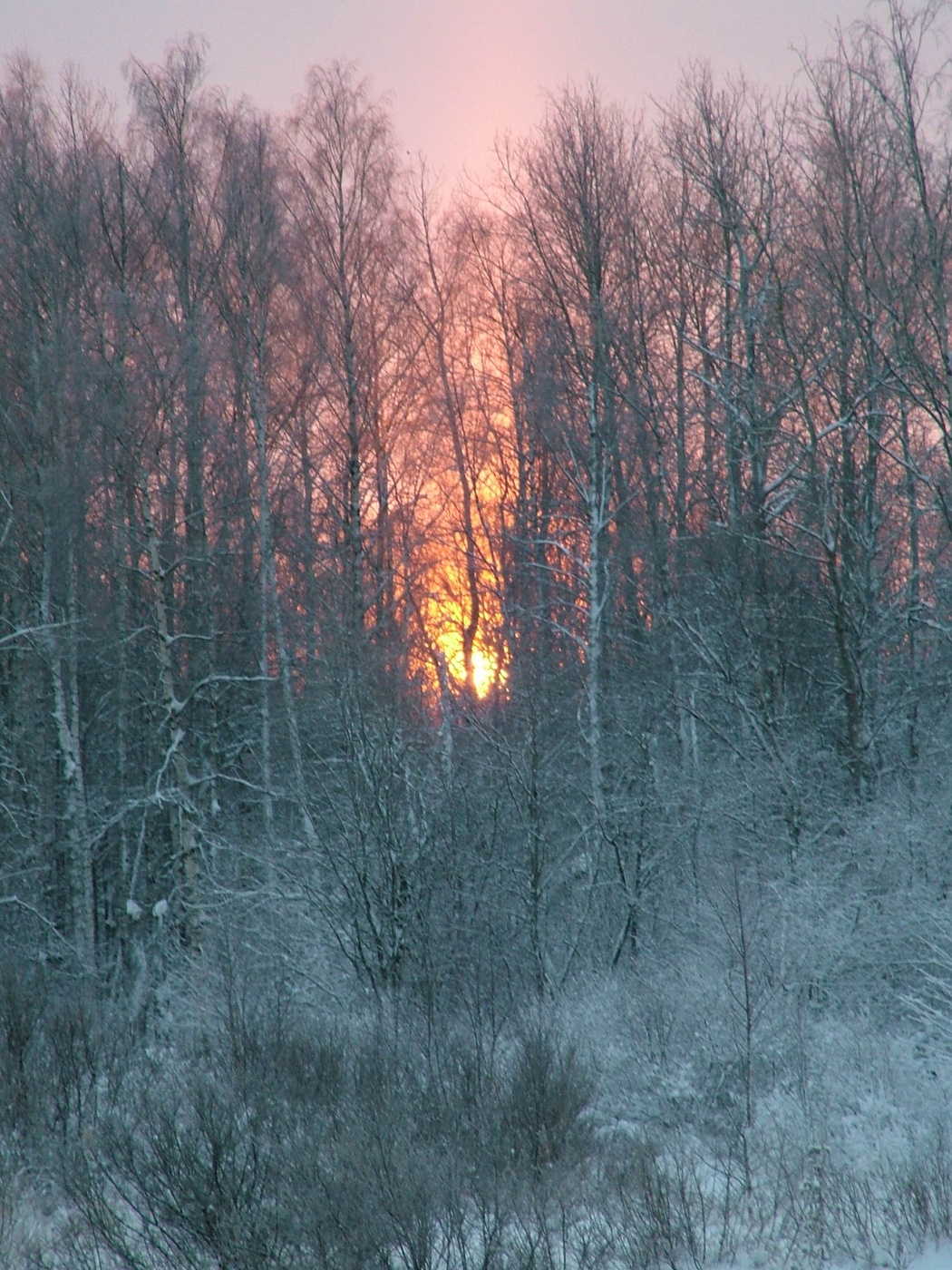 Ein schöner Tag dank Frost und Sonne