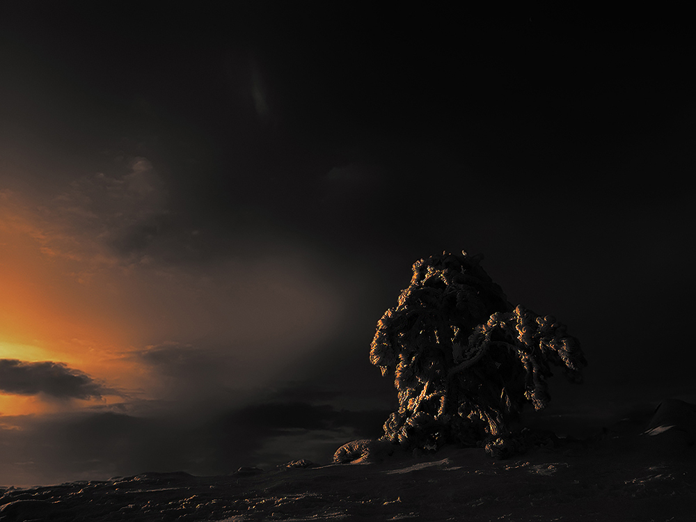 Ein schöner Tag dank Frost und Sonne