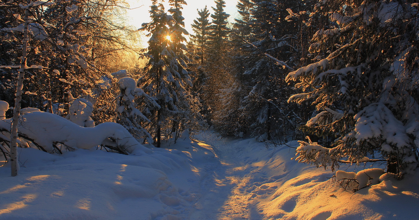 Ein schöner Tag dank Frost und Sonne
