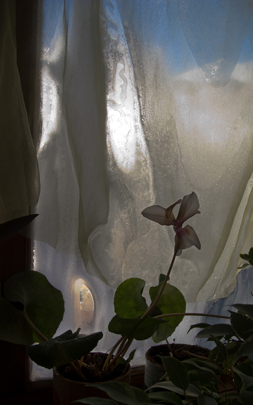 Ein schöner Tag dank Frost und Sonne