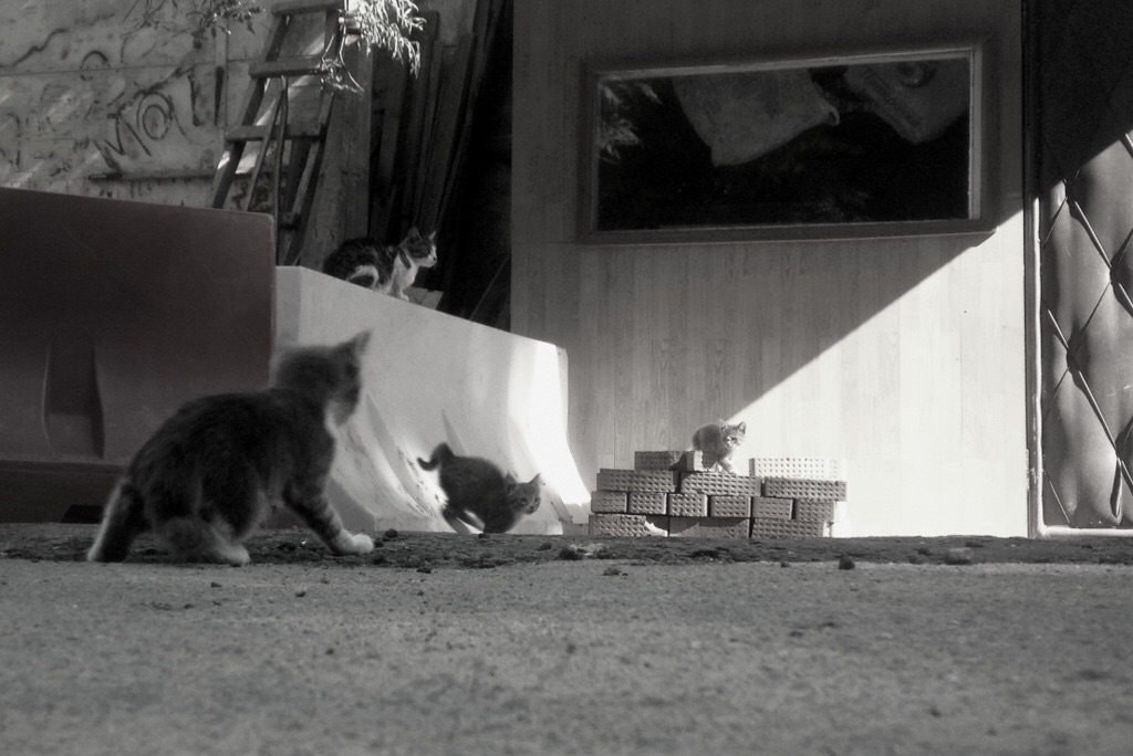 Ein schöner Tag dank Frost und Sonne