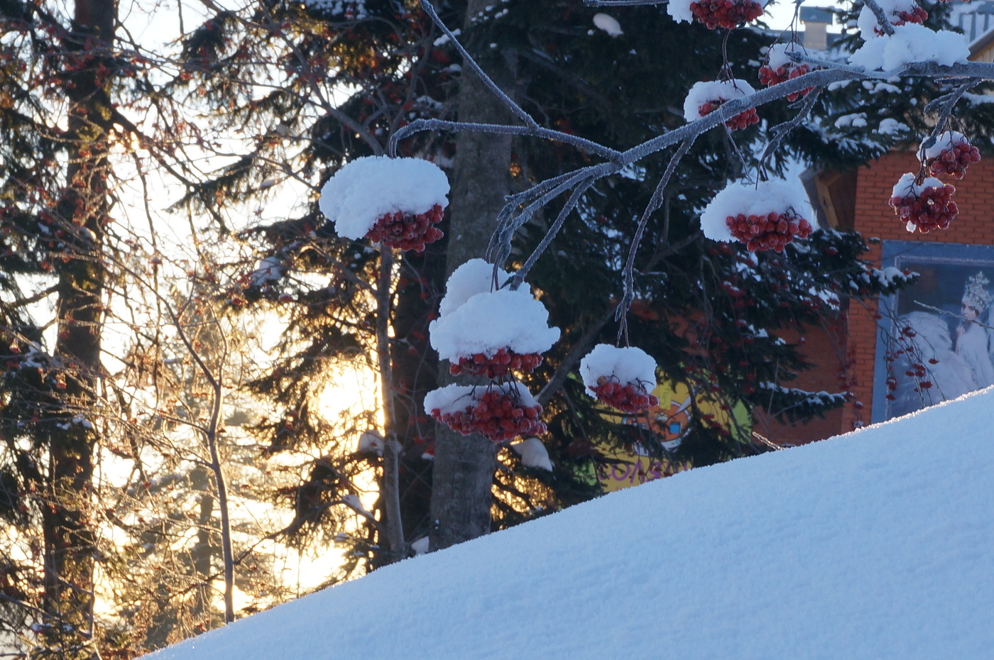 Ein schöner Tag dank Frost und Sonne