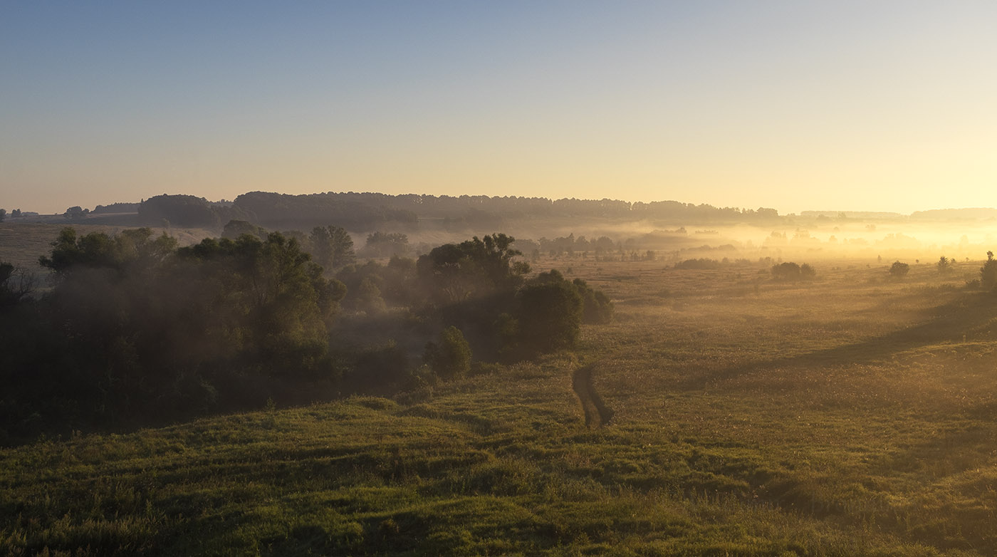 Morgendämmerung, Nebel