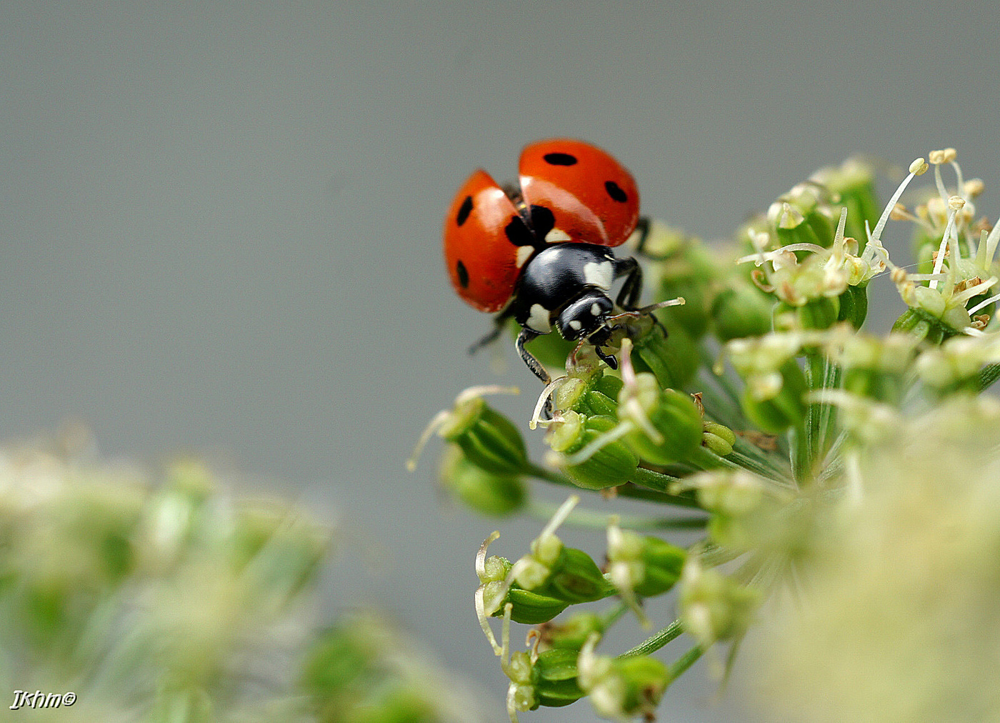 Und ... Welt ist nicht genug