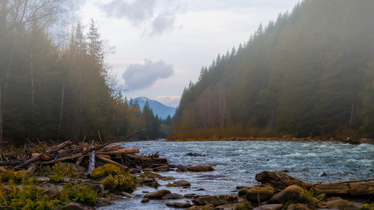 Morgen in den Karpaten