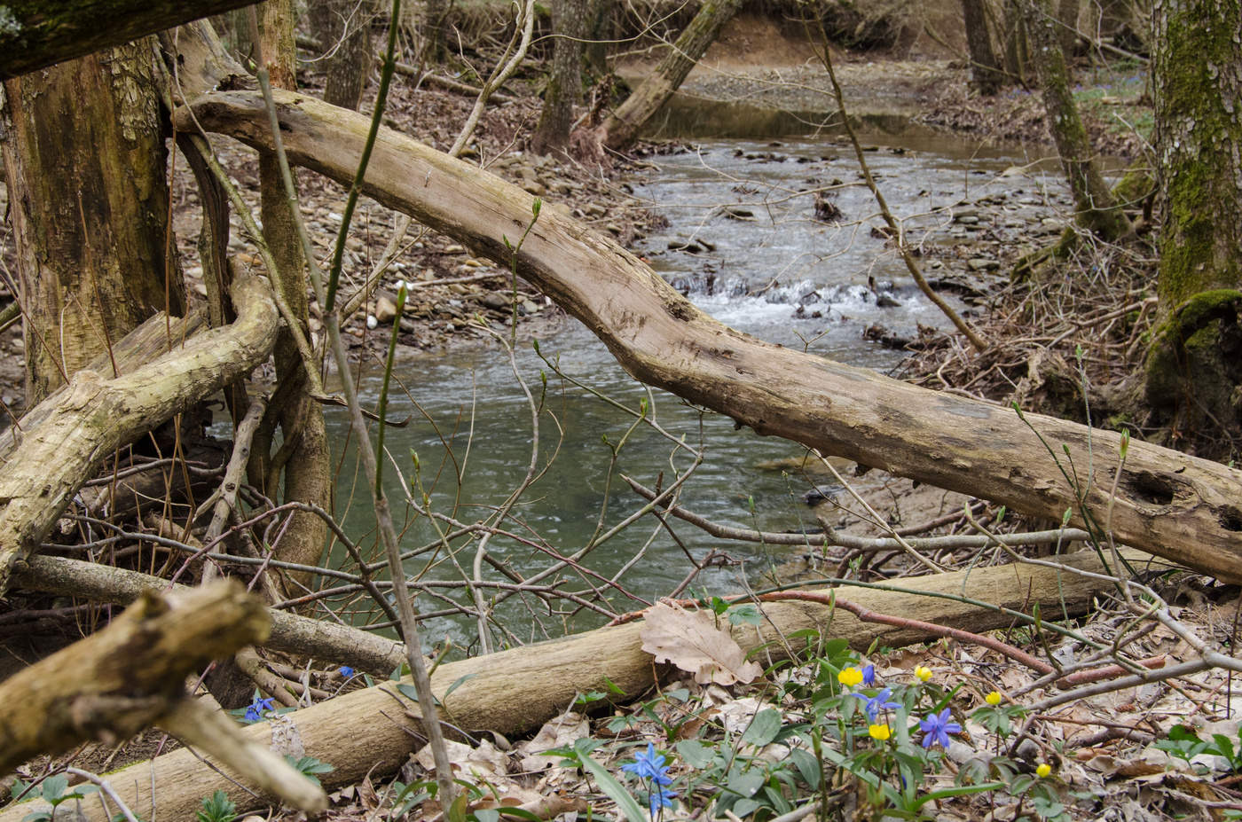 Ersten Tag des Frühlings
