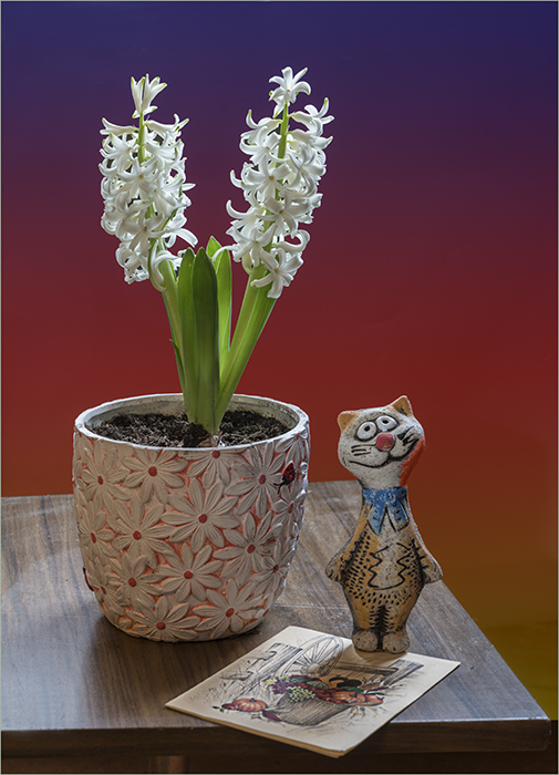 Herzlichen Glückwunsch!