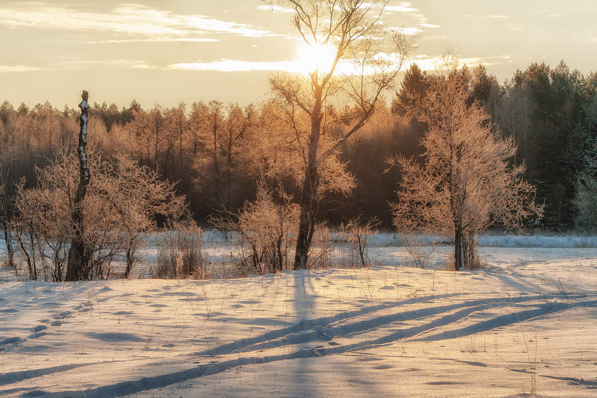 Wintermorgen in Sula