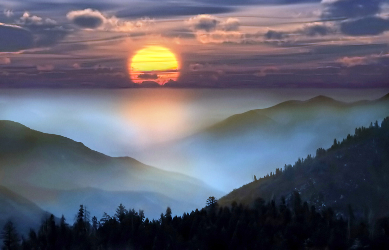 Irgendwo in den Hügeln von wildem Rosmarin Blumen ...