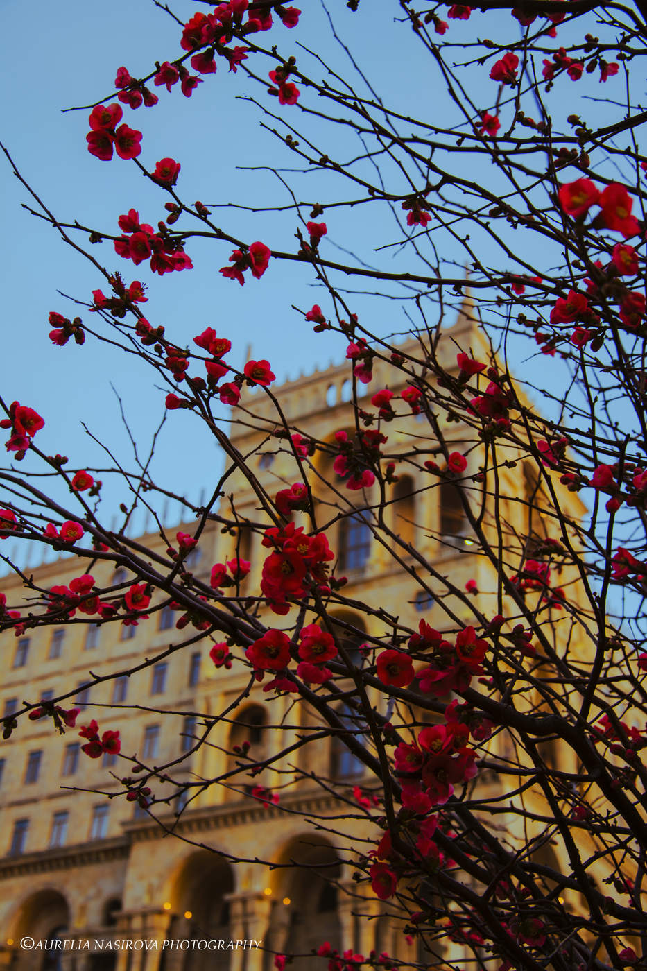 Frühling ist hier ...