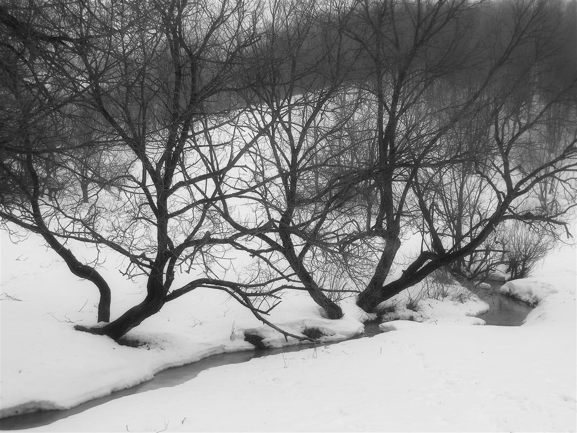 Das Ende des Winters