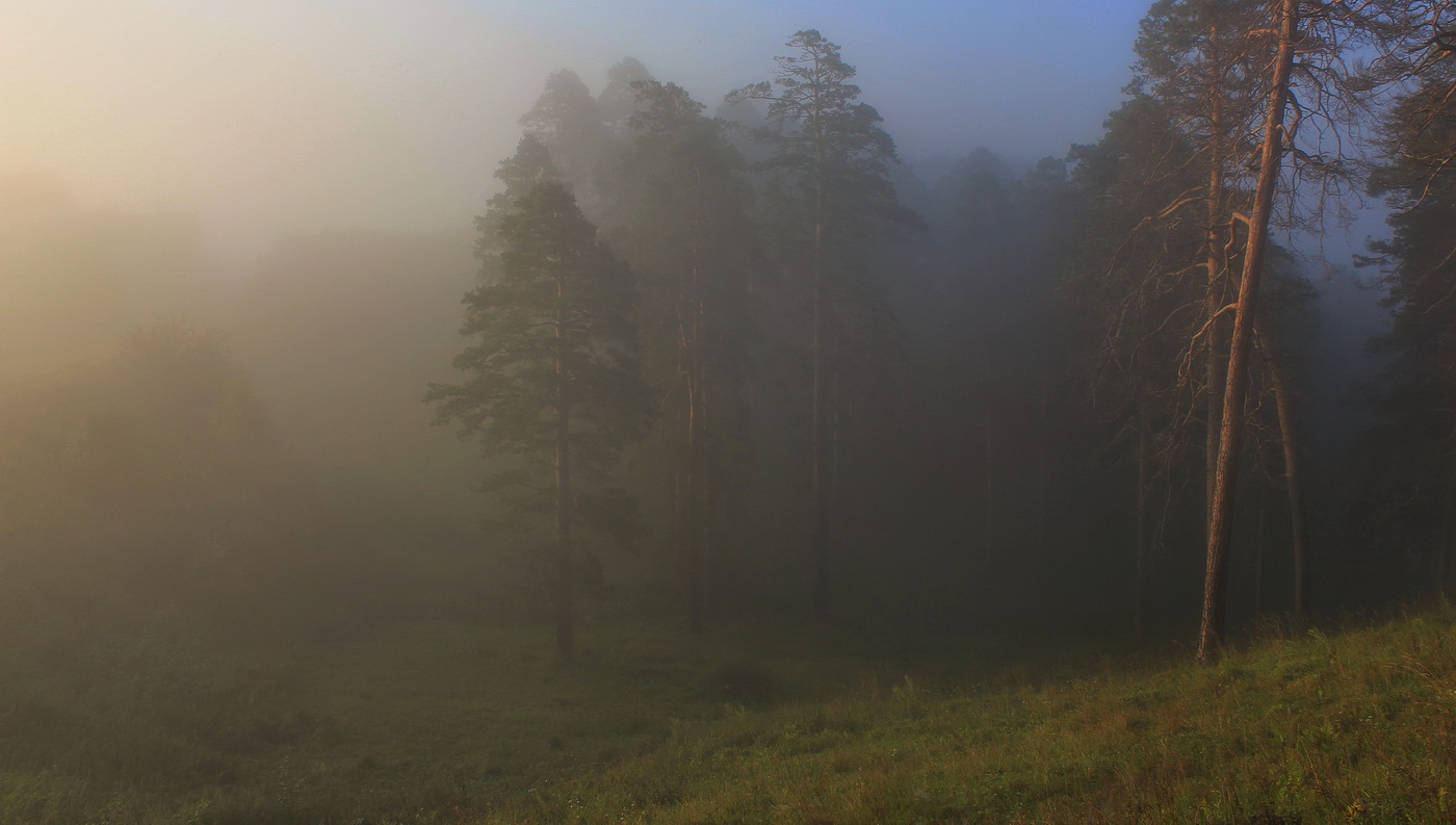 Morning Glückseligkeit