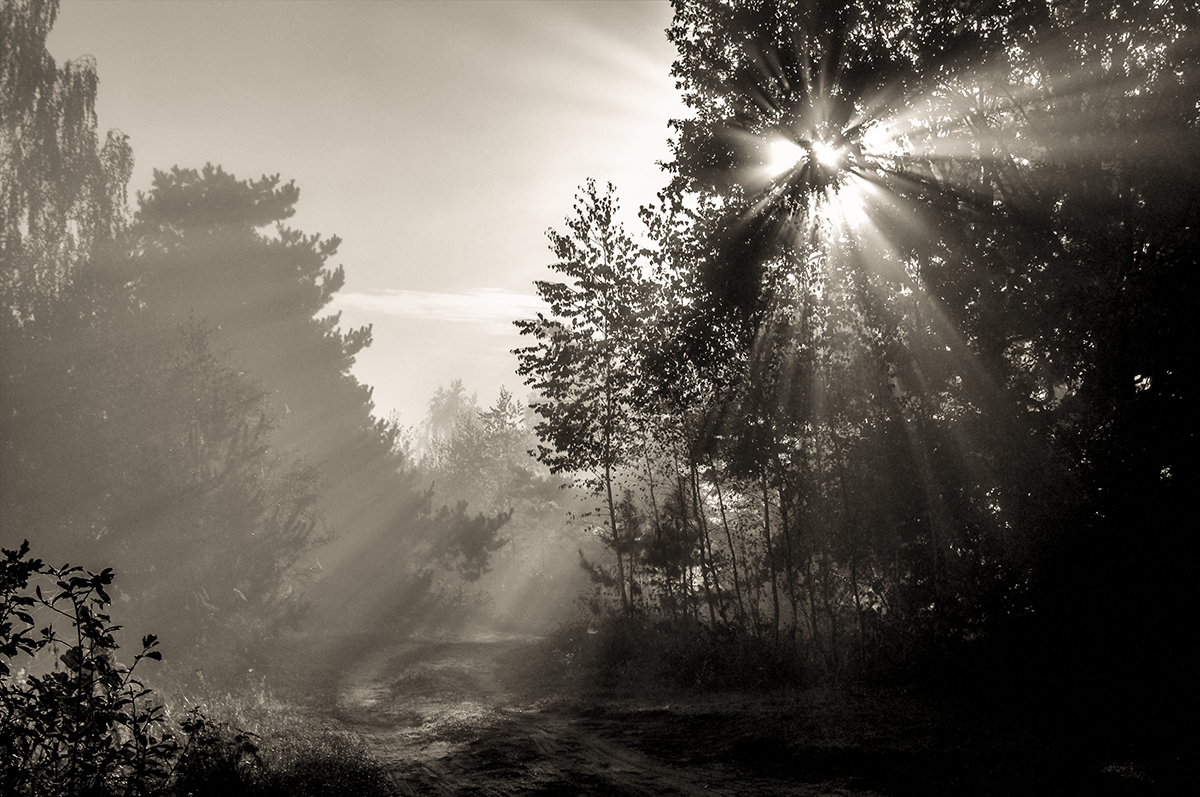 Schwarz-Weiß-Morgen