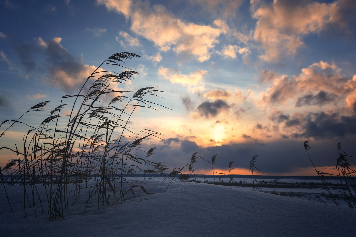 Rauschende Blätter ...