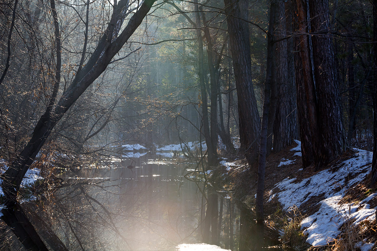 Der Hauch von Frühling