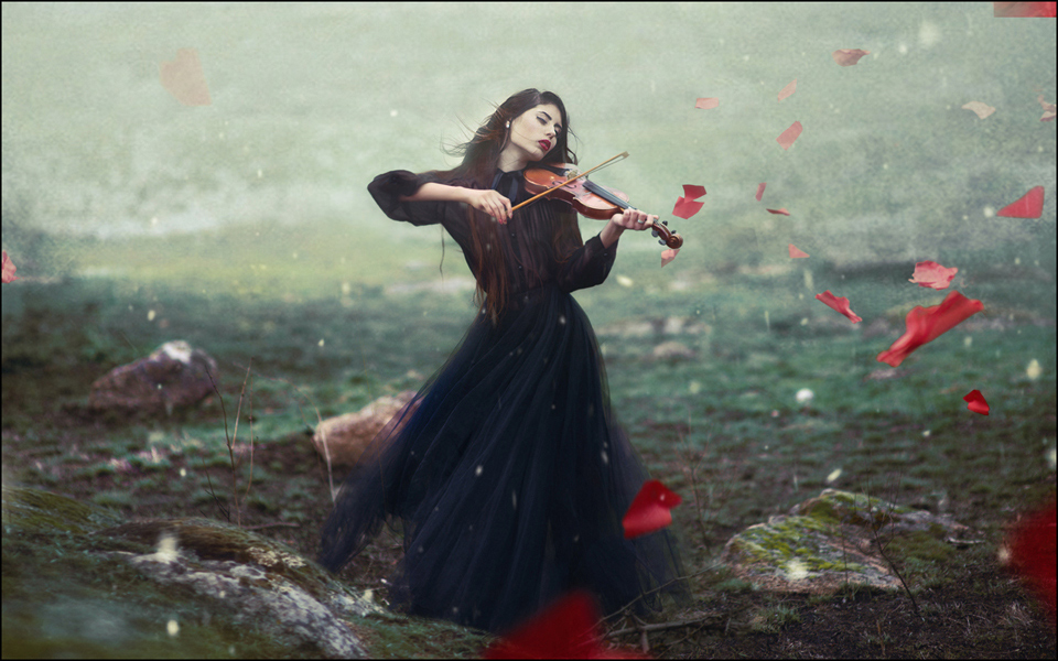 The Applause Of Heaven ©2016