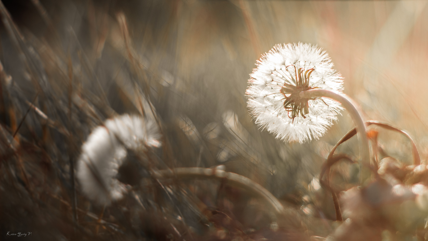 Letzte Tage des Herbstes