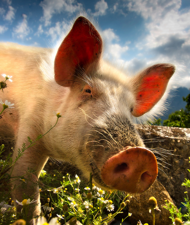 Lächeln trüben Tag ...