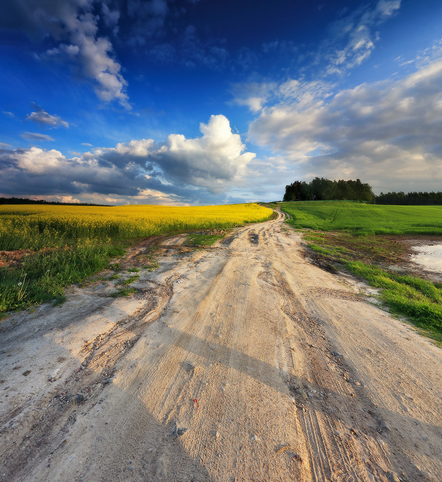 Mai in der Nähe von Minsk