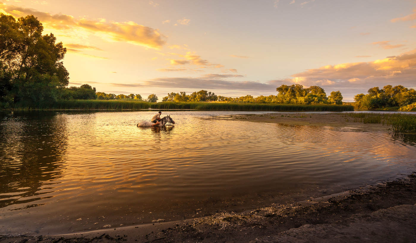 BADEN The White Horse