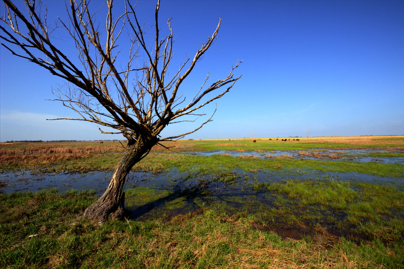 Der Frühling kommt!