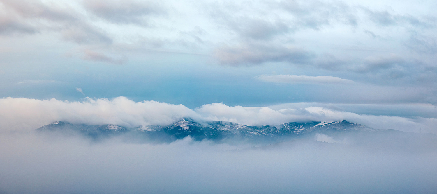 Unter den Liebkosungen eines Efeu Teppich