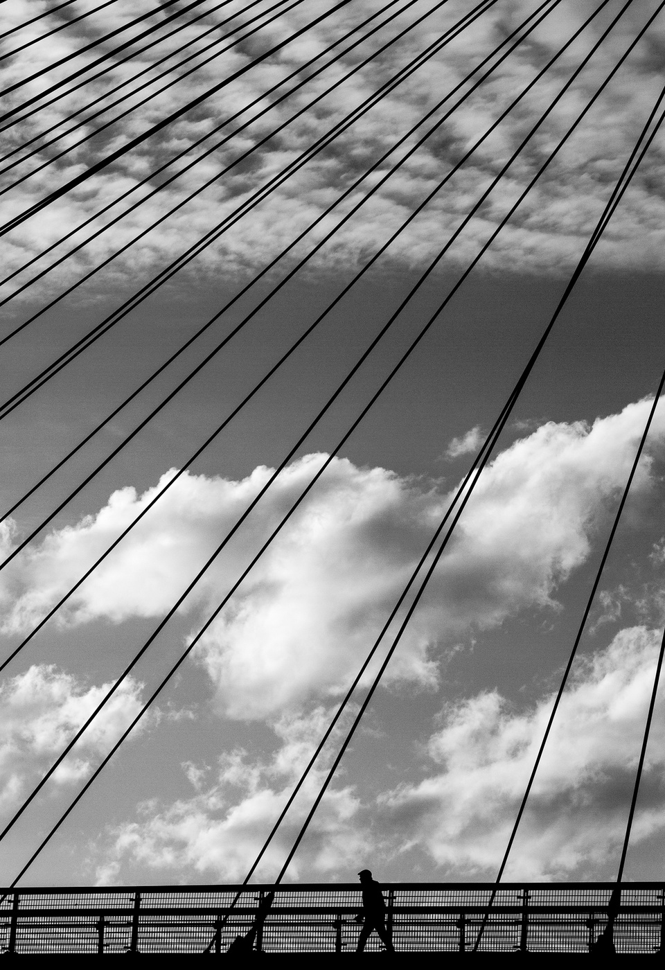 A world between the lines