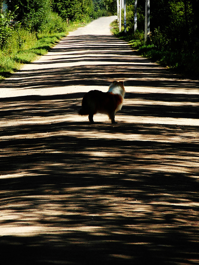 Straßen, die wir wählen
