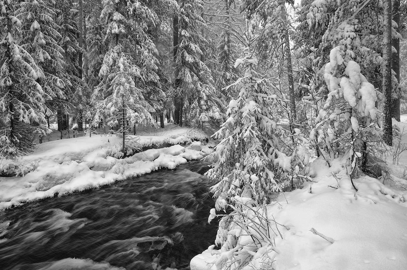 Rückkehr des Winters