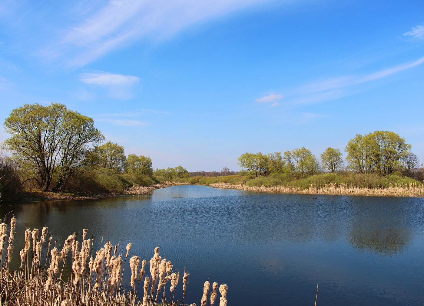 Der Hauch von Frühling