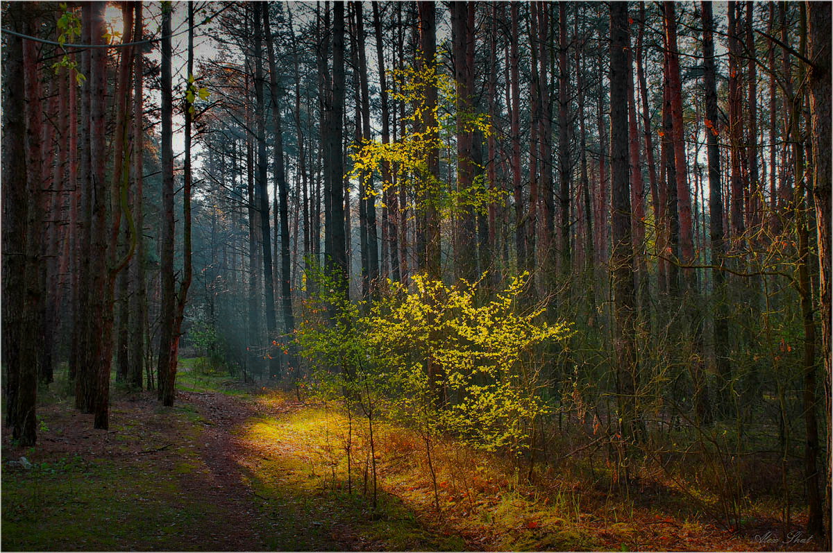 Dort auf unbekannte Wege ...