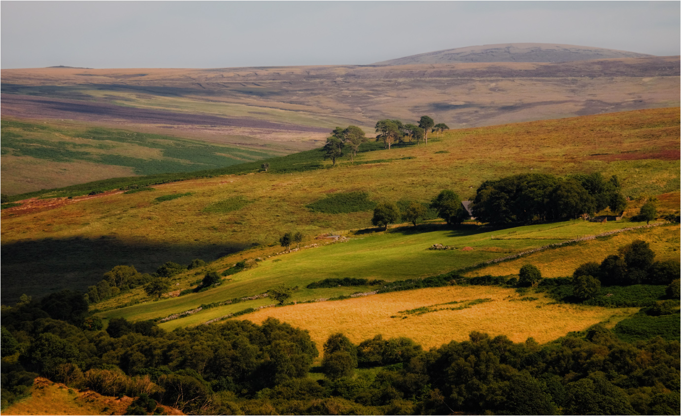 ...somewhere in Wicklow...