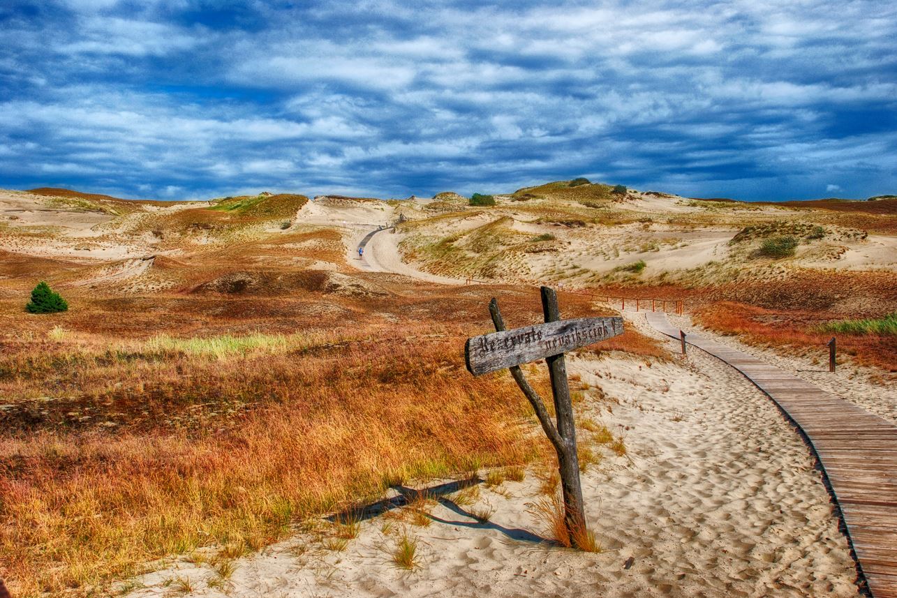 einen langen Weg in den Dünen