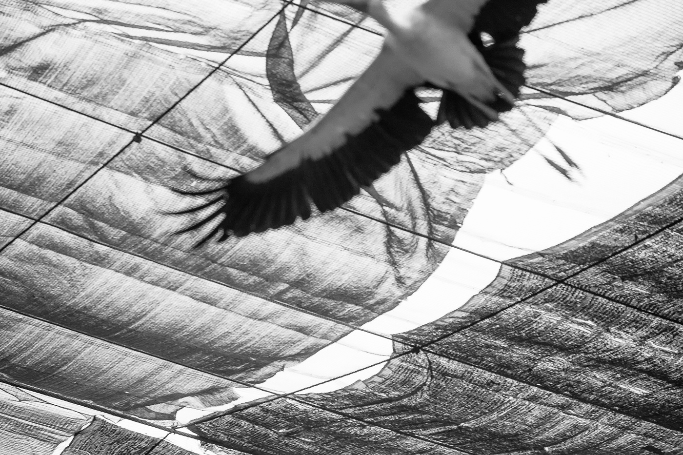 Der Mangel an Freiheit