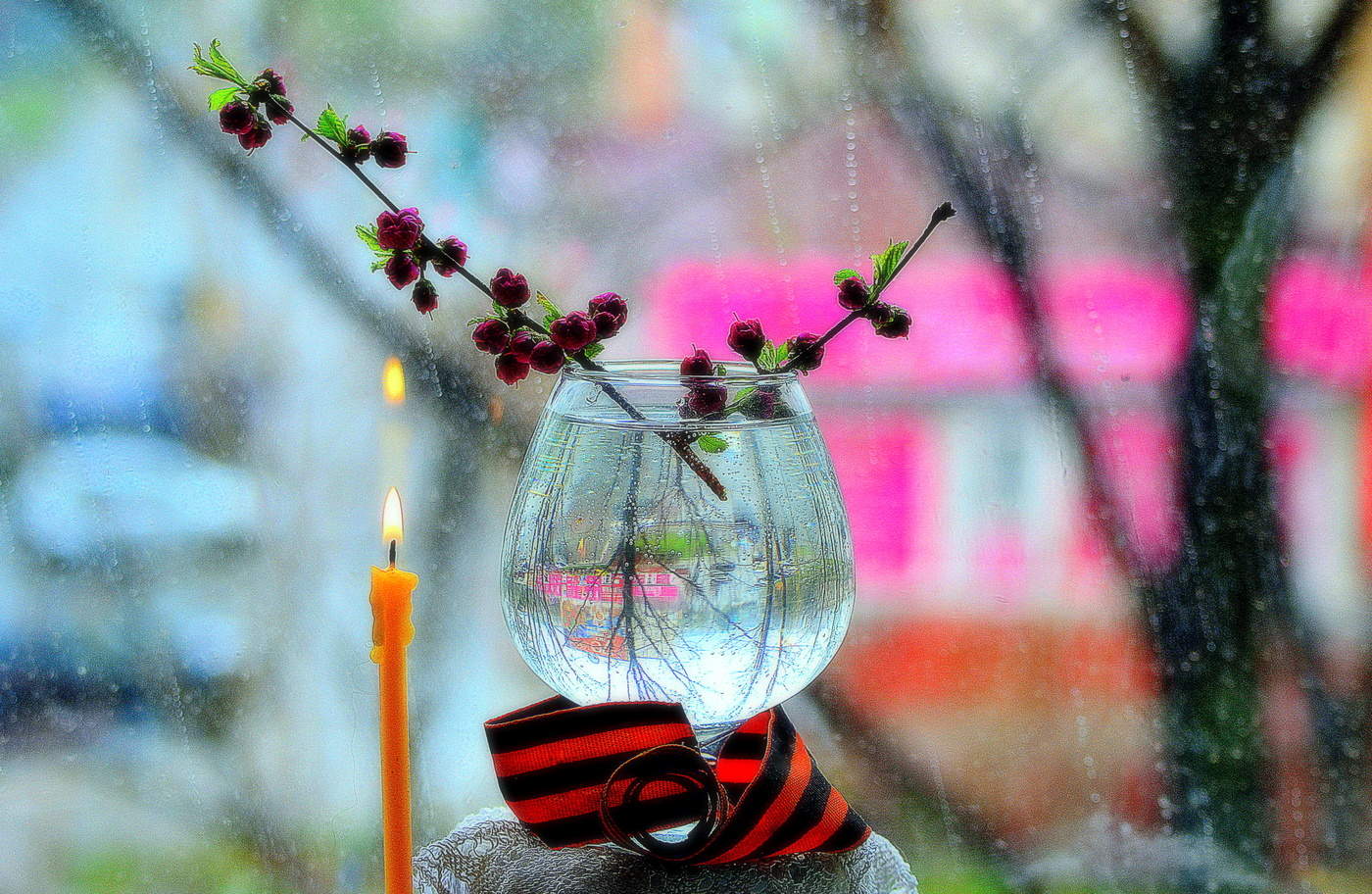 Wir erinnern uns an ...