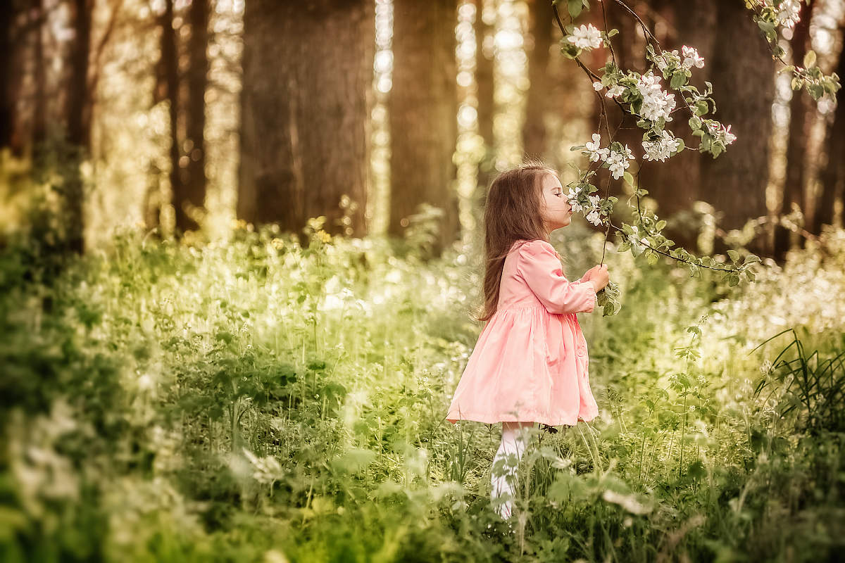 Der Duft des Frühlings